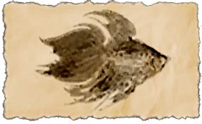 Ala Mhigan Fighting Fish .